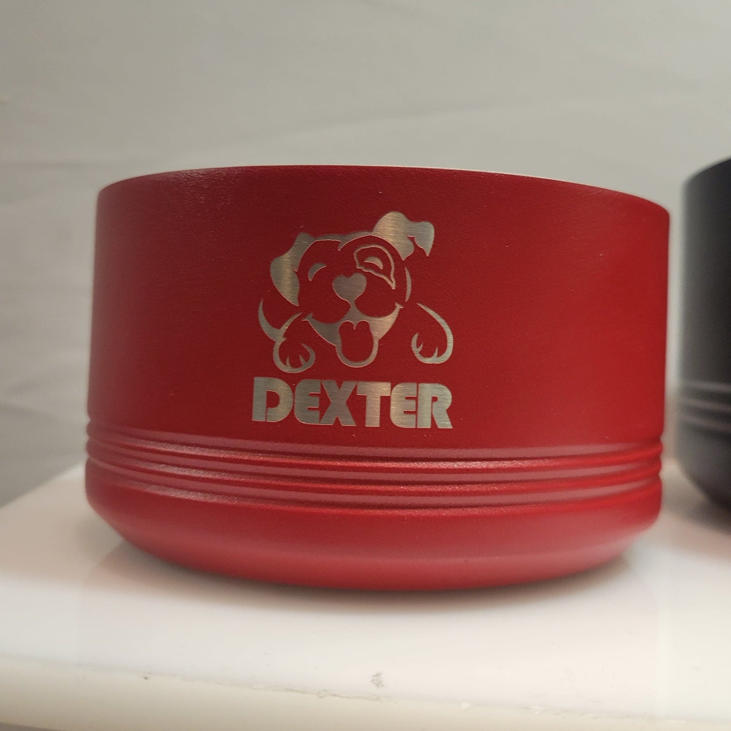 Pet Dog Bowls